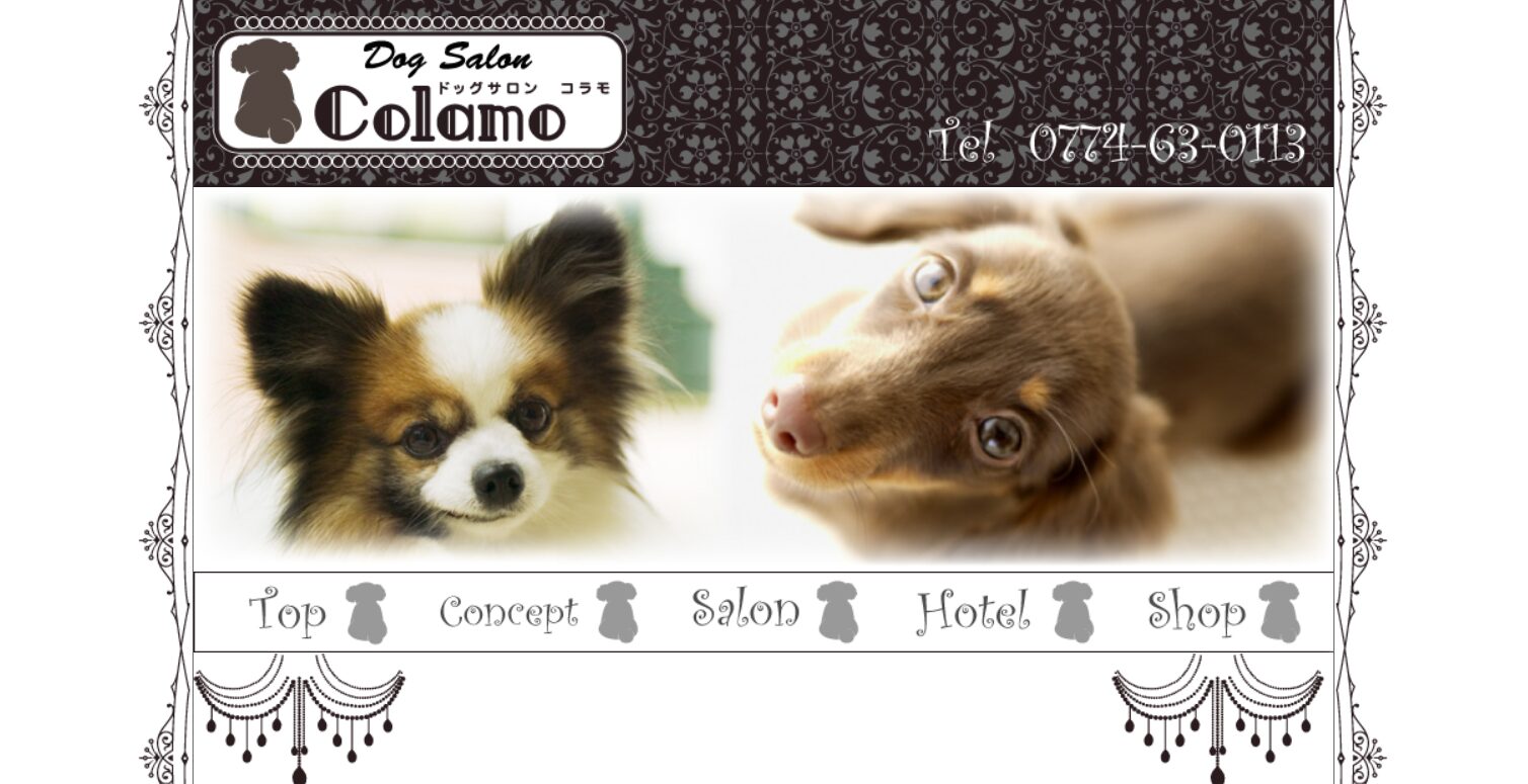 dog salon colamo(ドッグサロンコラモ)